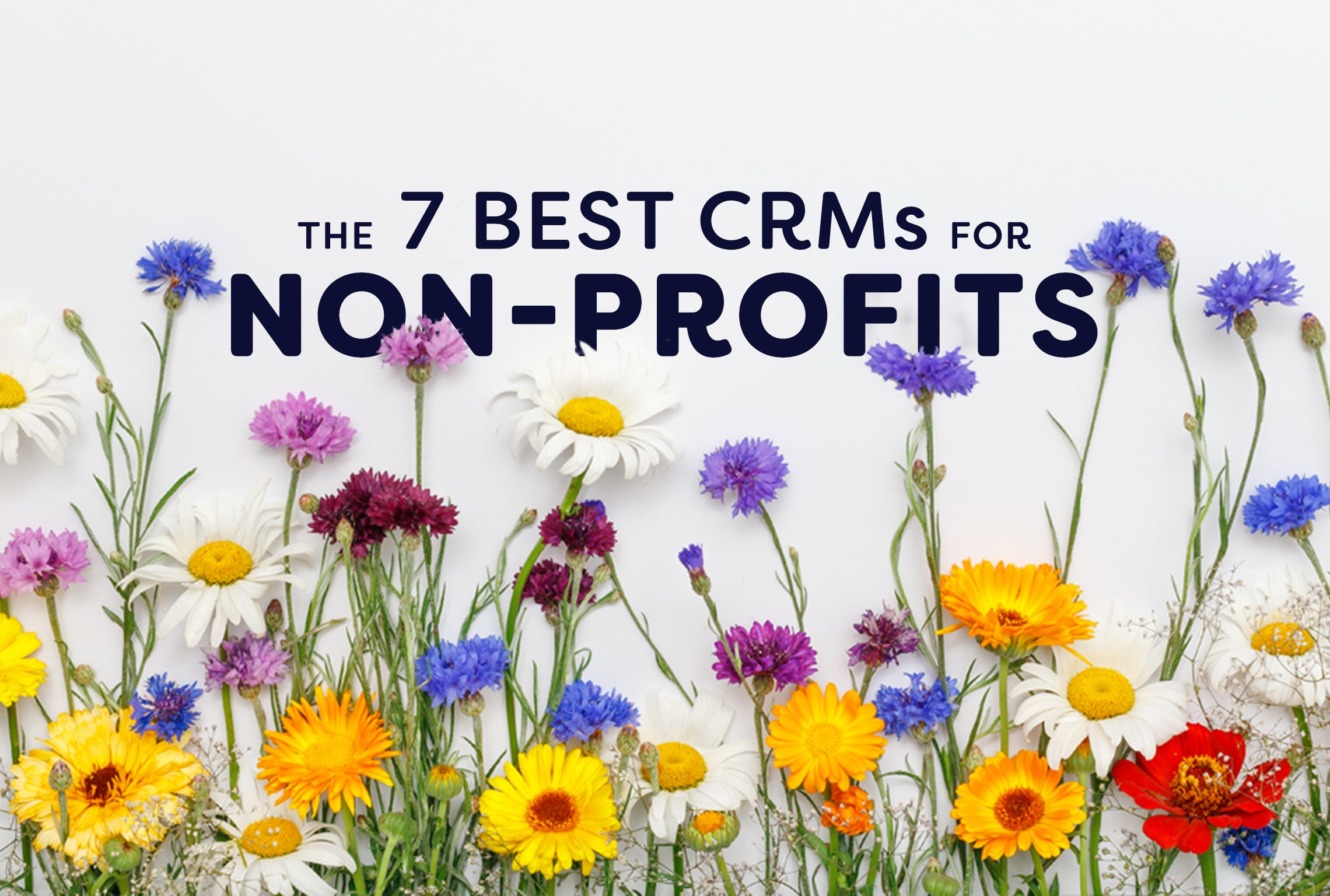 the 7 best CRMs for non-Profits