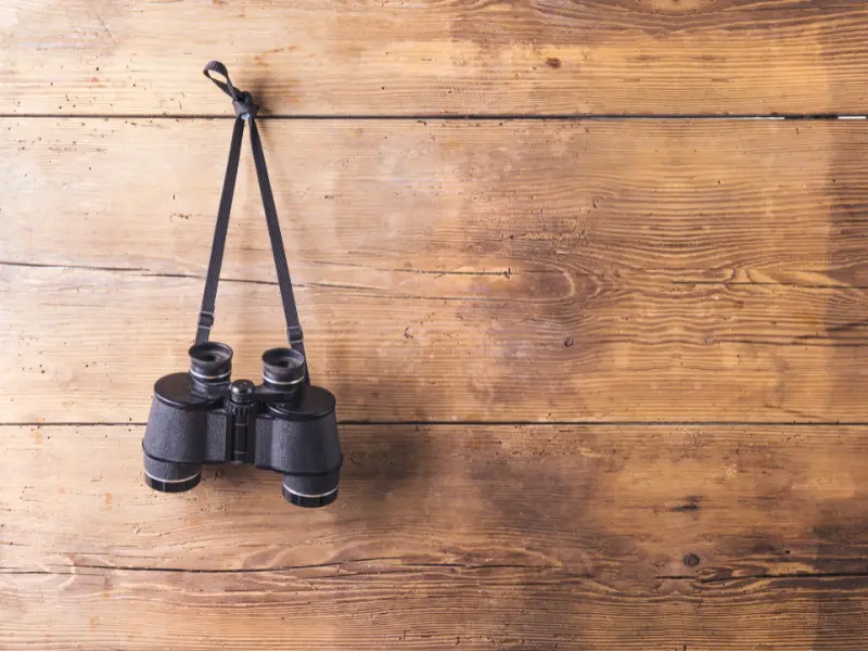 a pair of binoculars hanging on a wooden wall