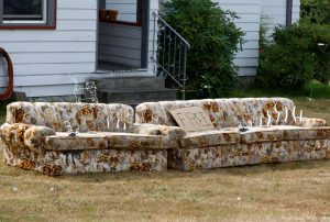 a couch with a sign that says free on it