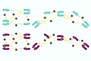 a diagram showing the steps of a dance move