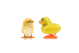 a yellow chicken standing next to a smaller yellow toy chicken