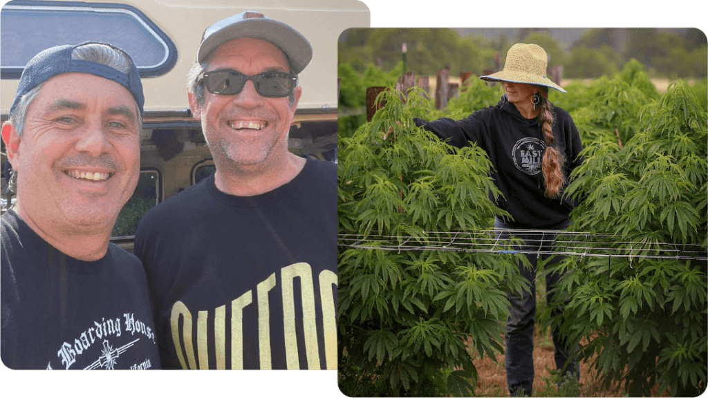 a picture of two men smiling next to a picture of a woman by cannabis plants