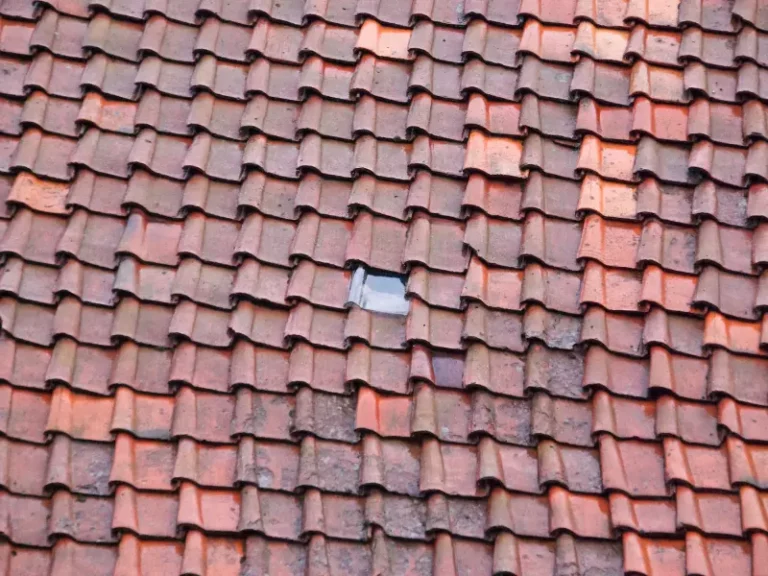 a roof with a transparent roof tile in the middle of it