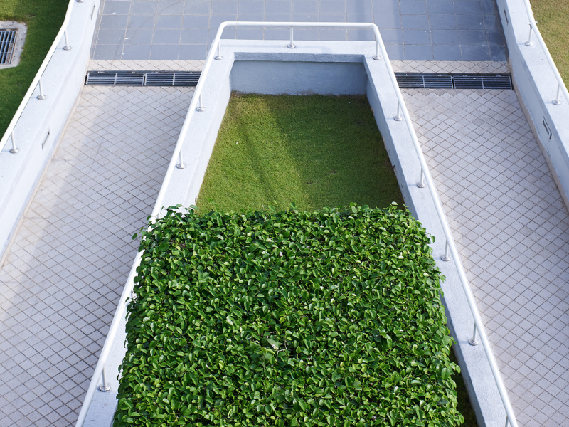 et luftfoto av en gangvei med en hekk i midten