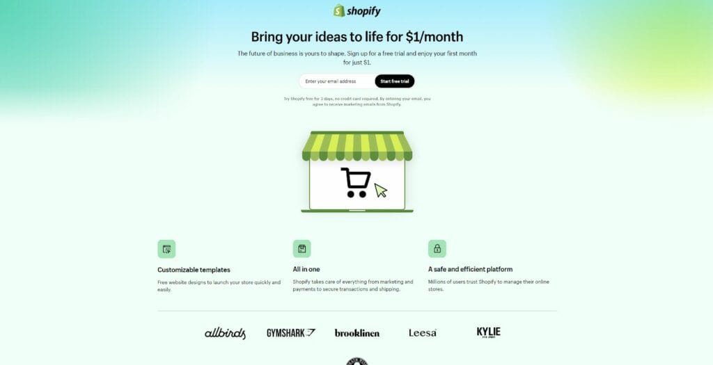Shopify landing page example