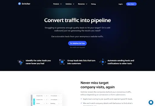 Screenshot of Snitcher website visitor tracking software