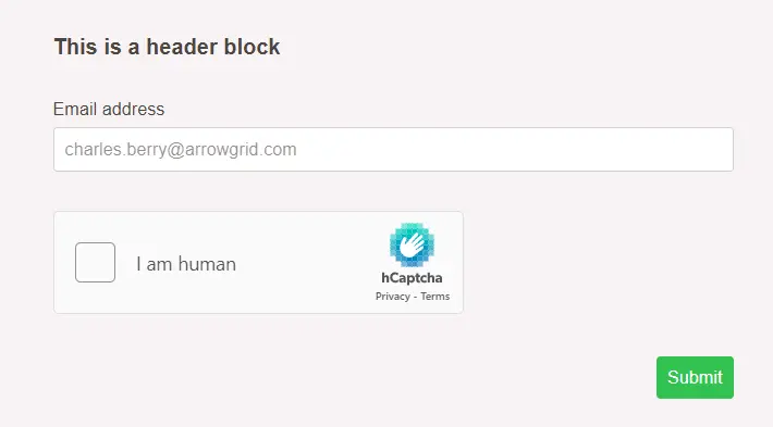 Header block with email address block and human verification block.
