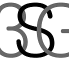 3SG logo