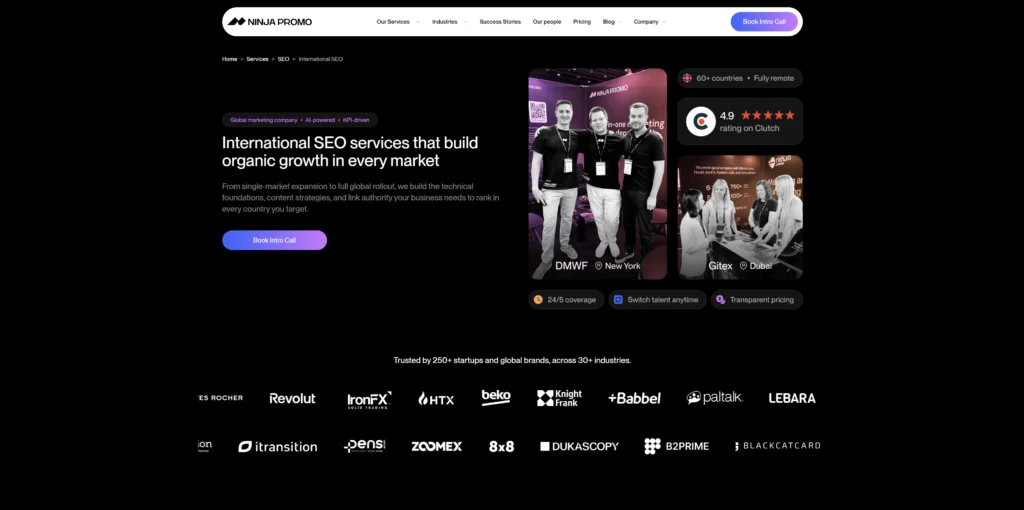 Ninja Promo Homepage Screenshot for the Best Large SEO Companies